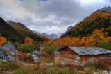 Nomad House, Yading 亞丁小屋