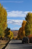 Approaching Daocheng 走進深秋