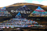 Prayer Flags Formation 風馬旗海