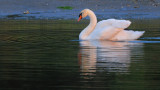 Stony Brook Harbor