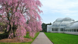 New York Botanical Garden