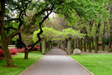 Brooklyn Botanic Garden