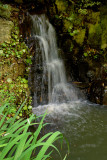 Japanese Stroll Garden