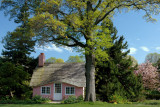 Planting Fields Arboretum