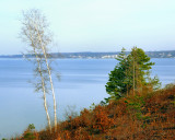 Sands Point Preserve