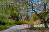Planting Fields Arboretum