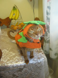 My little pumpkin - Halloween 2011