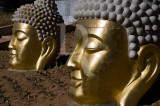 Buddha Eden