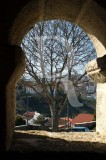 Domus Municipalis (MN)