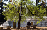 Jardim Botânico da Universidade de Coimbra (IIP)