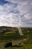 Torres Vedras - Rota do Vinho