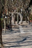 O Parque D. Carlos em 29 de fevereiro de 2012