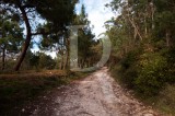 Troço do Caminho Real da Pederneira, situado junto à Ponte das Barcas (SIM)
