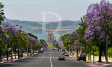 Avenida da Índia
