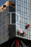 Three Red Spiders on the Window