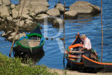 Pescador do Tejo