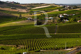 Torres Vedras - Rota do Vinho