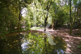 Water Mirrors