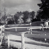 1964 - David Booth riding a pony at Dressels Dairy on Milam Dairy Road west of the airport