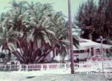 A 1974 photo of Shaffers Nursery and Kindergarten on Shore Boulevard in Gulfport that I attended in 1952 and 1953