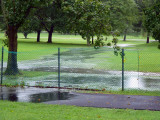 McCann after Hurricane Irene