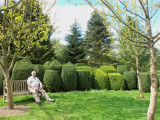 PINETUM REST SPOT