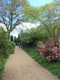 TOP GARDEN PATHWAY
