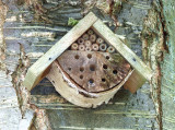 INSECT BOX