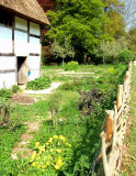 POPLAR COTTAGE GARDEN