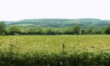 VIEW ACROSS ARUN VALLEY