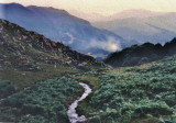 WALES - ABOVE BEDGELLERT