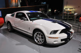 2008 Shelby GT500 Mustang, Dominic J. Ciliberto, Collegeville, PA