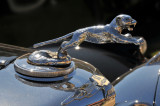 1938 SS Jaguar 2.5L Drop Head Coupe, Robert & Jeri Herold, Chesterfield, MO, European Pre-War (1024)