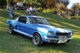 1966 Ford Shelby Mustang GT350 (2715)
