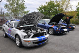 Late-model Shelby Mustang GT500s (9732)