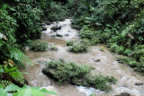 Maliau River Tributary