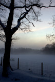 Misty Snow Field
