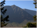 Catstycam