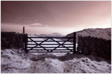 IR Gate