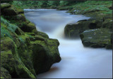 The Strid