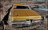 Buick Electracuted 225