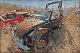 Dead Beetle
