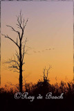 Sunset at Haenhle Bird Sanctuary