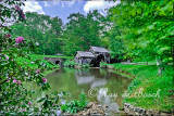 Mabry Mill, Blue Ridge Parkway, VA