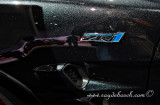 IMG_0390-Edit.jpg