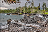 Maui Scene