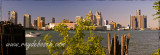 Detroit panorama