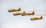 IMG_6443-Edit.jpg