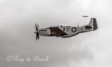 IMG_7008-Edit.jpg