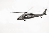 IMG_7164-Edit.jpg